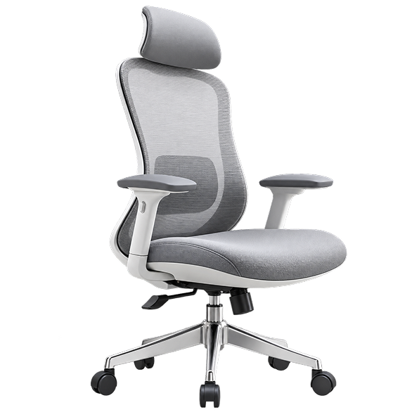 Premium Ergonomic Mesh Executive Chair